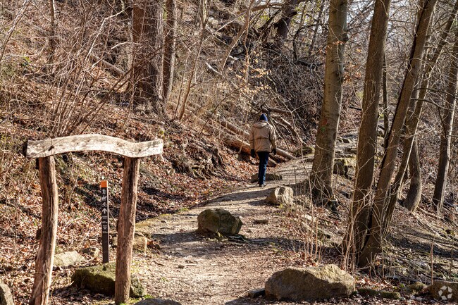 Hiking along the Wissahickon Trail is a popular outdoor activity any time of year.
