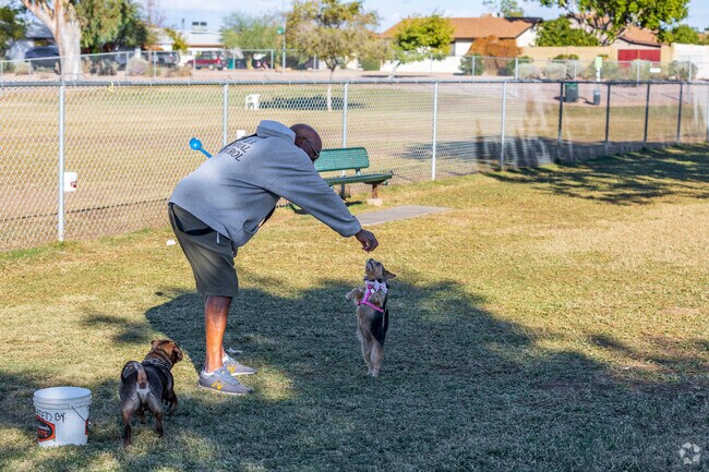 Dogs at Countryside Park enjoy a huge gated field with two sides for large and small dogs.