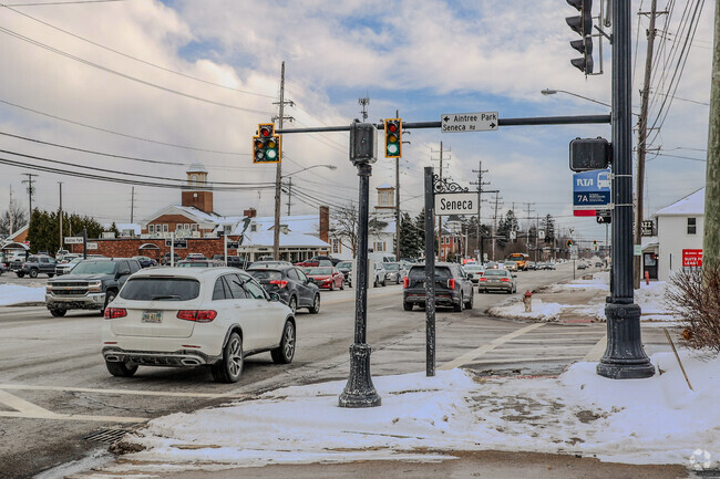 Catch the RTA bus, arriving hourly, in Mayfield.