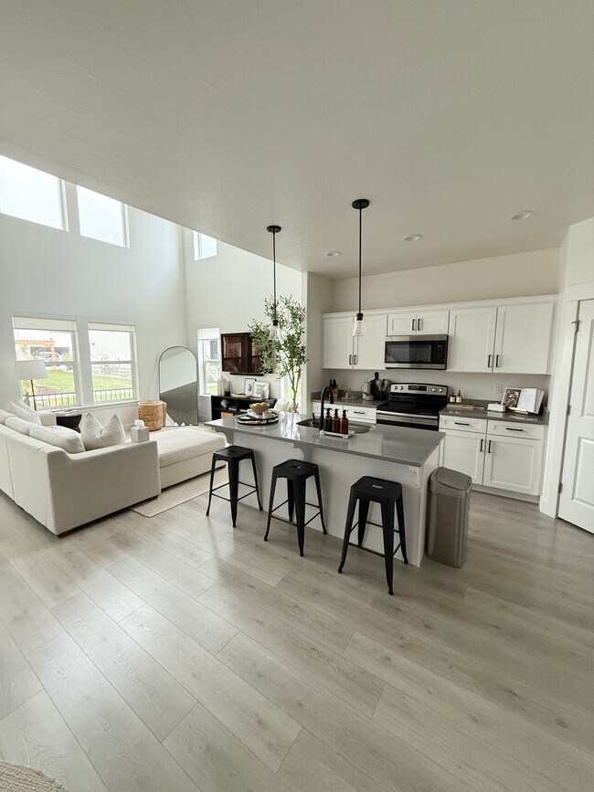 Shared Living Space
