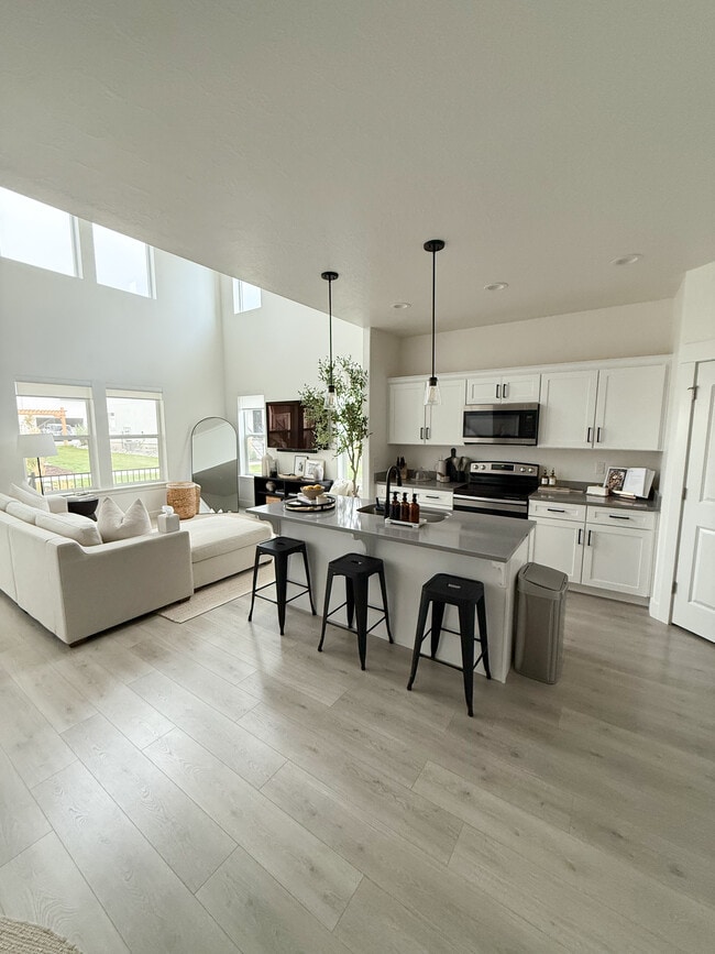 Shared Living Space