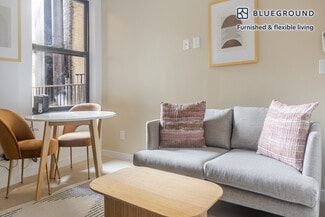 103 Mosco St Unit FL2-ID1871, New York, NY 10013