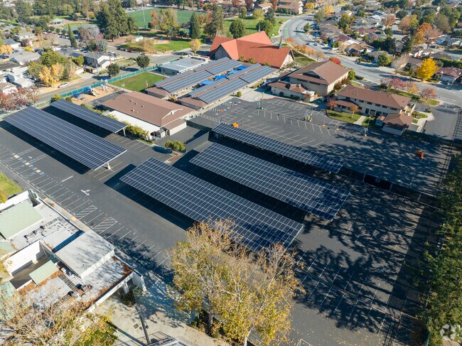 Shaping futures at Queen of Apostles School.