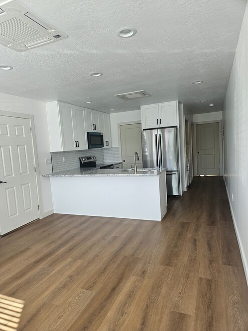 Living room and kitchen