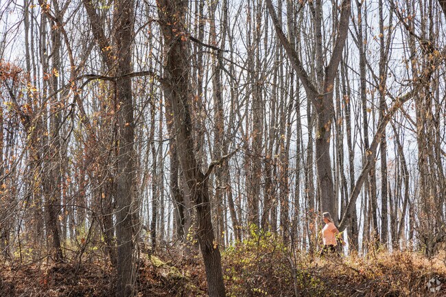 For exercise, Lafayette residents can hike the nearby Paulinskill Valley Trail.