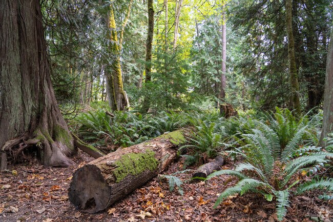 Residents of Cain Road can check out the trails inside Watershed Park.