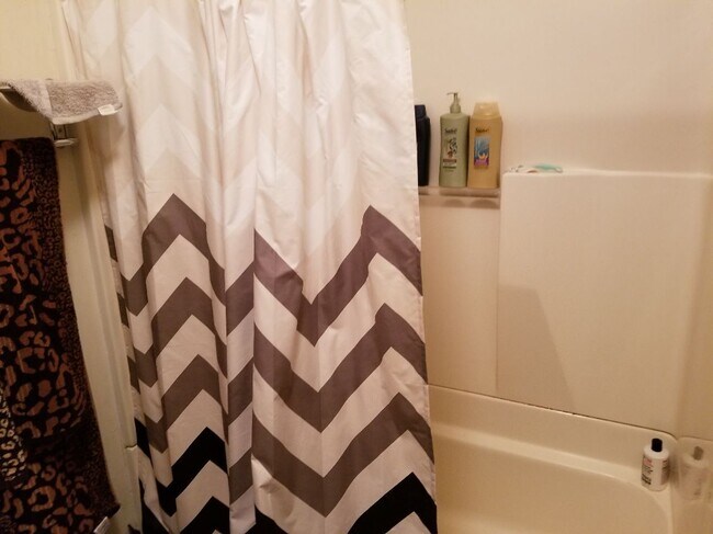 55 Jones Ave unit C, Morgantown, WV 26505 - photo 7