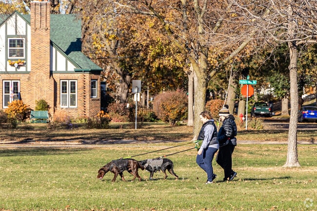 Dogs enjoy the expansive green space along Victory Memorial Parkway.