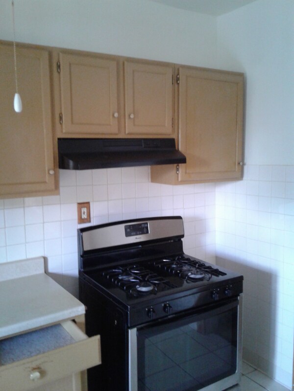 4622 W Jackson Blvd unit 2, Chicago, IL 60644 - photo 7