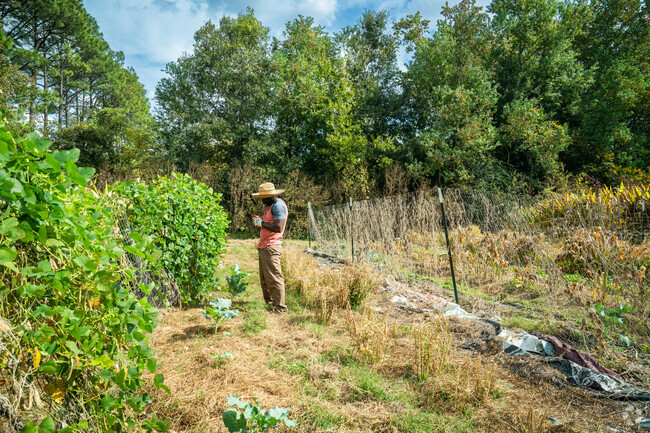 Earthshare Gardens is a testament to the loving community that can be found in Debaillon Park.