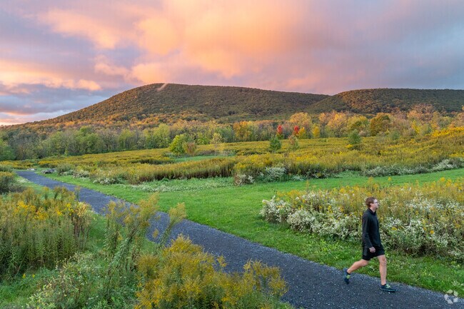 Oak Hall Regional Park in College has walking trails with breathtaking views of Mt. Nittany.