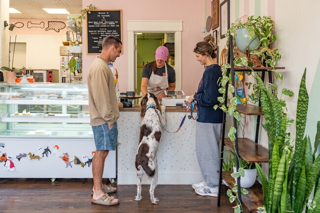 The CakeHound dog bakery near Merion Village sells freshly baked dog  and cat treats.