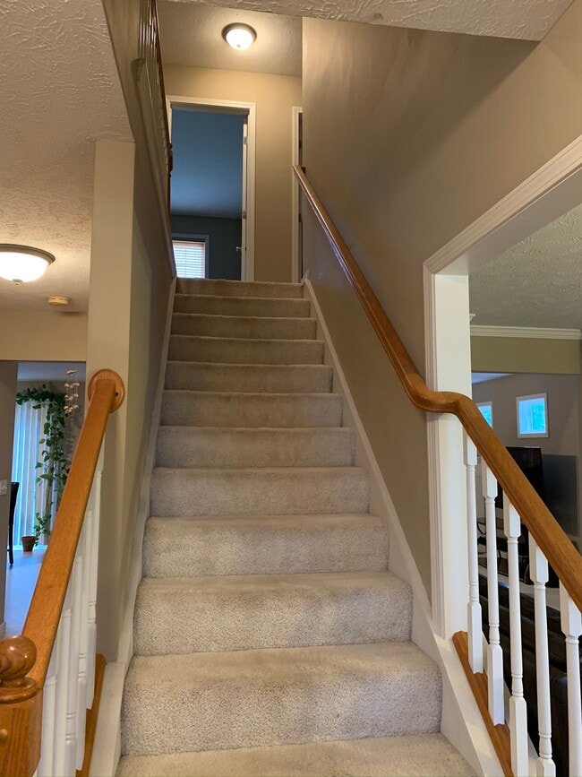 11005 N Waterton, Dunlap, IL 61525 - photo 6