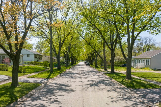 Residents of Sauk Village enjoy oak lined streets and an abundance of natural greenery.