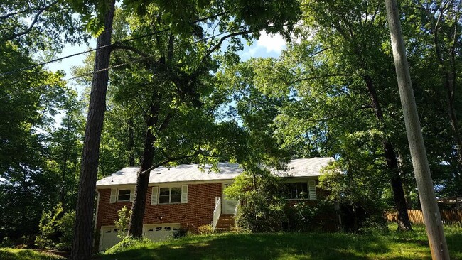 Front w Foliage