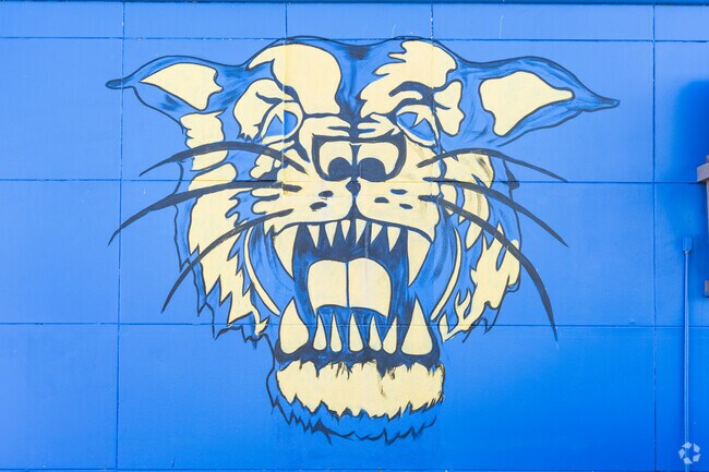 The tiger is the iconic Raymondville High School mascot, the school hosts grades 9th to 12th.