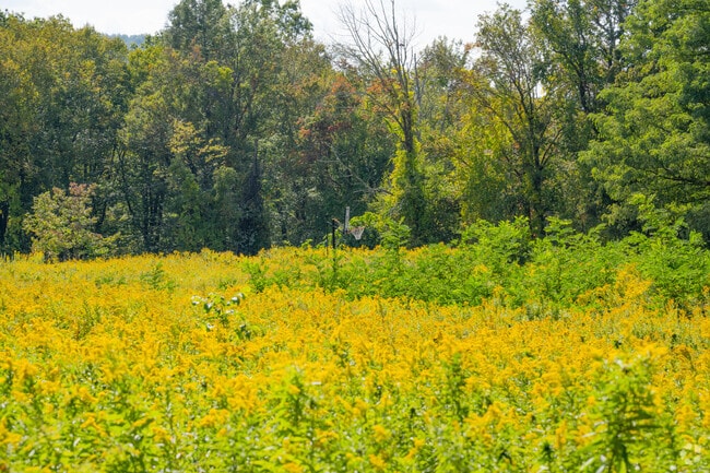 There are several thousand acres of forest in Goshen.
