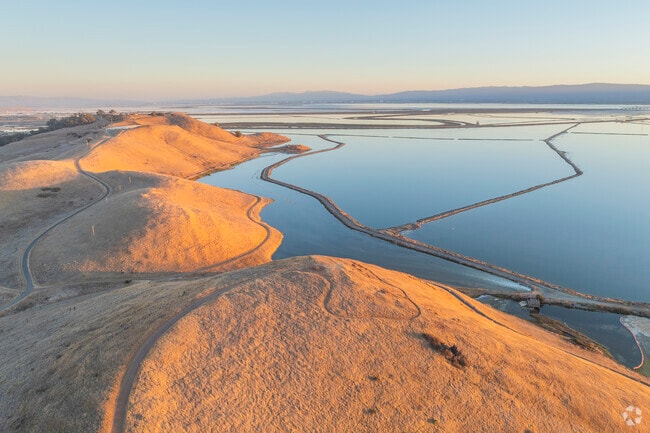 Ardenwood's Coyote Hills enjoy stunning views of the Don Edwards Wildlife Sanctuary.