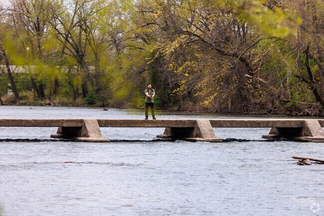 Fishing is a popular past time at McIndoe Park.