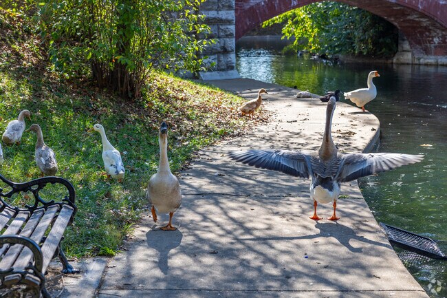 Local wildlife will welcome you when you visit Benton Park.