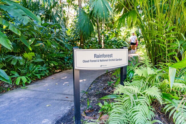 The rainforest section at Fairchild Tropical Botanic Garden is a must visit and beautiful.