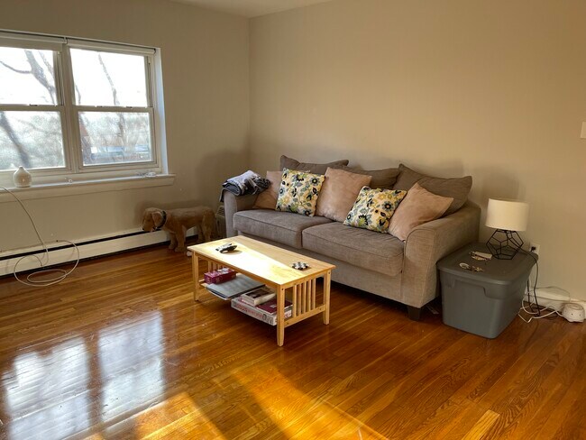 43 Selkirk Rd unit 2, Brighton, MA 02135 - photo 6