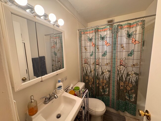 101 N Busey Ave unit 6, Urbana, IL 61801 - photo 5