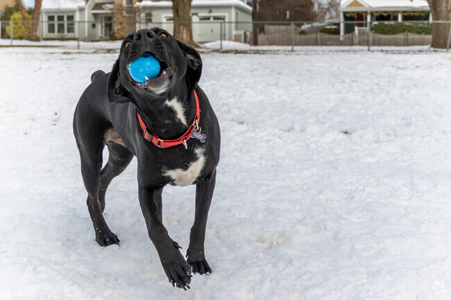 Bring the pups down to Mack Park in Greenhill to burn off some energy.