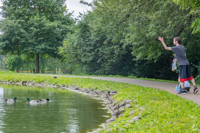 Residents can enjoy feeding the many ducks and geese at Delhi Park Lake.