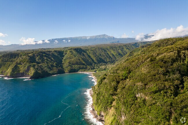 Enjoy spectacular views on the road to Hana.
