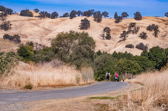 Lagoon Valley Park is huge with hiking opportunities through the hills.