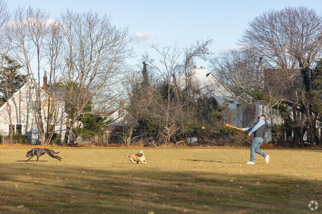 The Great Lawn on Main St is fantastic place to play fetch with your dogs in Westhampton.