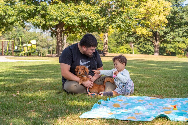There is plenty of green space to have a picnic with your family at Lions Park in East Dundee.