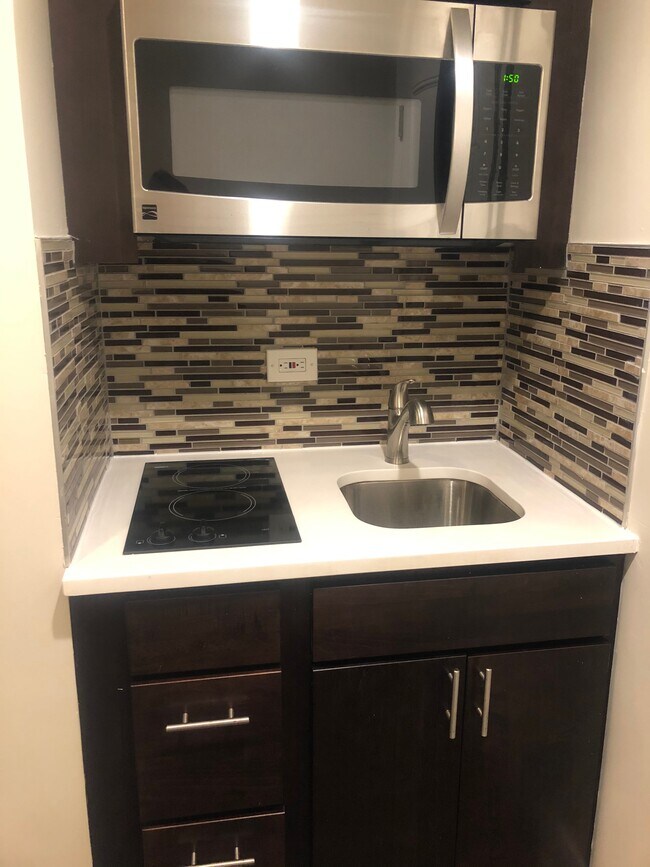 Plaza on Dewitt unit 307, Chicago, IL 60611 - photo 3