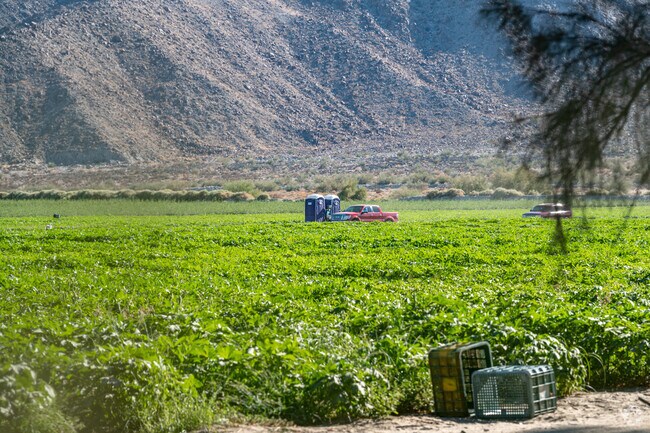 Oasis is perfect for slower living and open skies.