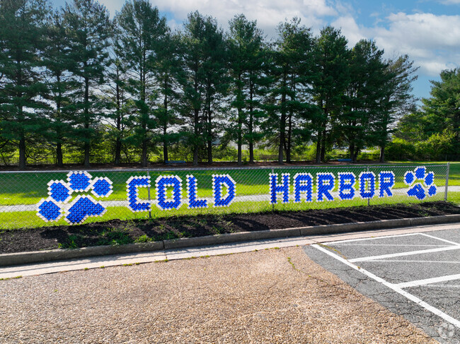 Cold Harbor Elementary School's mascot is the cougar.