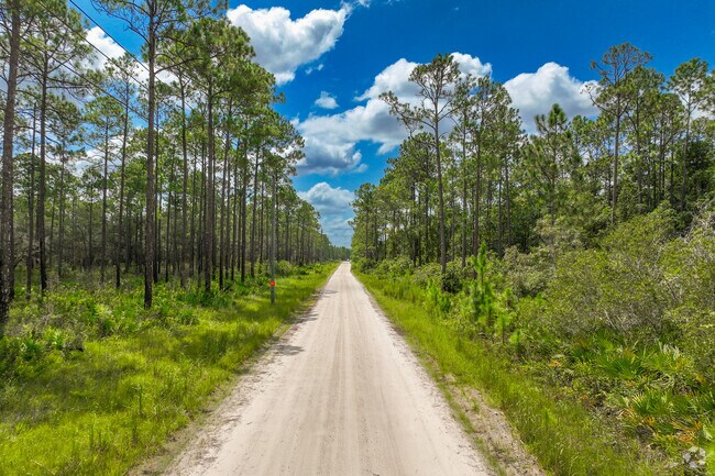Tiger Bay State Forest has miles of trails for hiking for Ormond Beach locals.