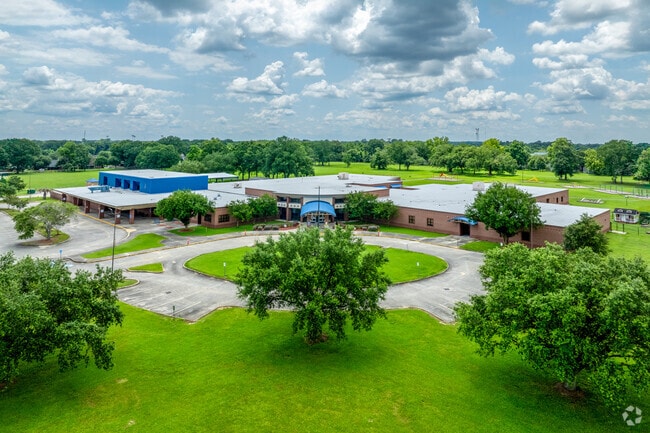 At Live Oak Elementary School, curiosity leads the way to discovery.