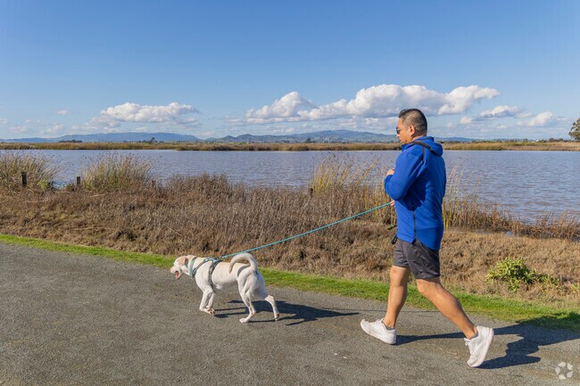 American Canyon is a dog friendly city with lots of parks and trails.