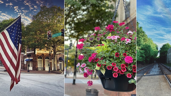 63 White Spruce Way, Newnan, GA 30265 - photo 3