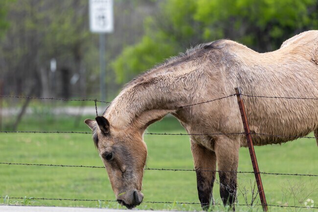 Heartland is surrounded by scenic rural pastures with horses and cattle in Kaufman County.