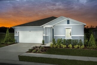 21095 Azul Marble Loop Unit 36514235, Land O' Lakes, FL 34638