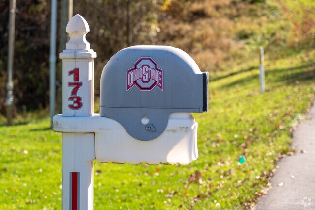 Fans in Carrollton show their support for their team - the Ohio State Buckeyes.
