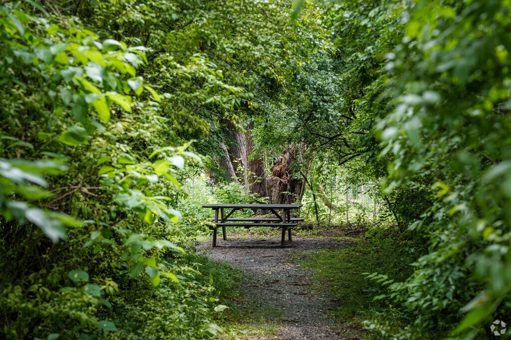 Ashbridge Preserve’s shaded corners invite peaceful lunches in a natural setting.