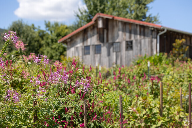 High Point's rural charm draws visitors for unique views and events.