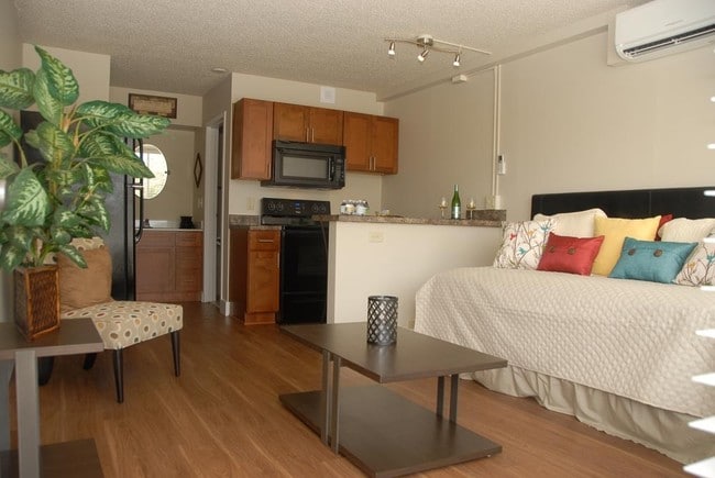 The Flats of Williamsburg, Williamsburg, VA 23185 - photo 5