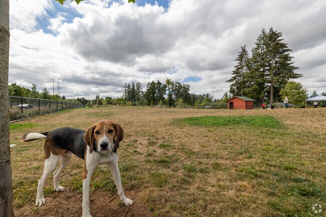 Tyrone S. Woods Memorial Park’s dog area is perfect for pets and owners in Gaffney Lane.