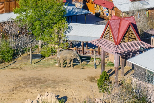 The Denver Zoo is an 80-acre nonprofit zoological garden located near City Park in Denver.