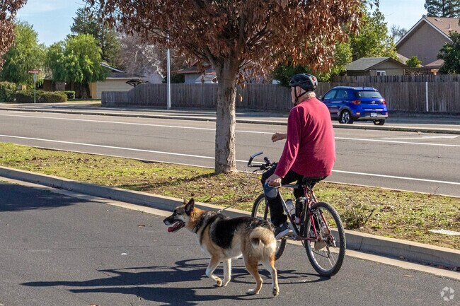 Tarpey is a great neighborhood to take the dog for a run.