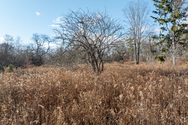 The landscape is beautiful in H. Smith Richardson Wildlife Preserve.
